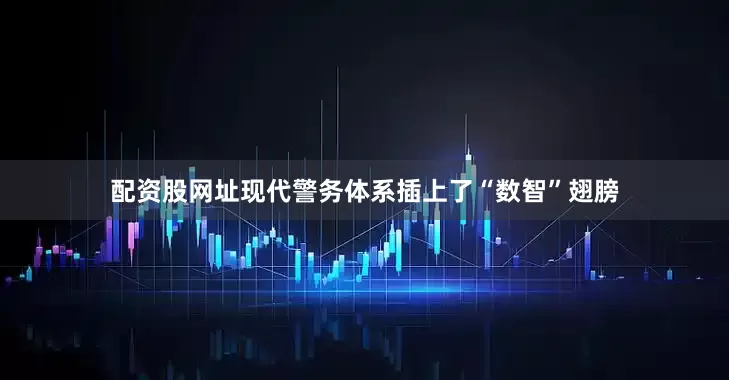 配资股网址现代警务体系插上了“数智”翅膀