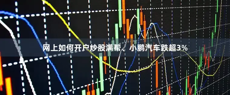 网上如何开户炒股满帮、小鹏汽车跌超3%