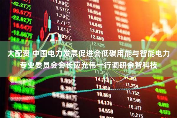 大配资 中国电力发展促进会低碳用能与智能电力专业委员会会长应光伟一行调研金智科技