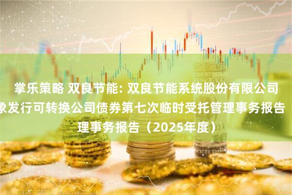 掌乐策略 双良节能: 双良节能系统股份有限公司向不特定对象发行可转换公司债券第七次临时受托管理事务报告（2025年度）