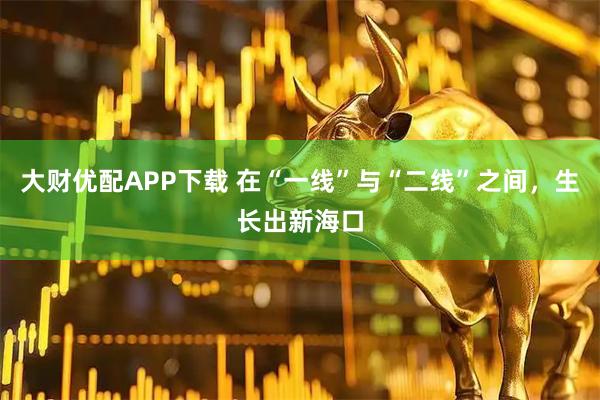 大财优配APP下载 在“一线”与“二线”之间，生长出新海口